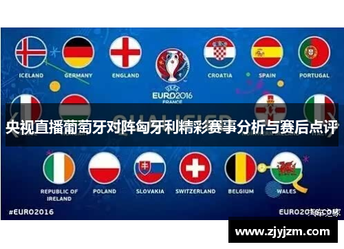 央视直播葡萄牙对阵匈牙利精彩赛事分析与赛后点评